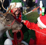 Reindeer hire display team from Willow Brook Reindeer Lodge