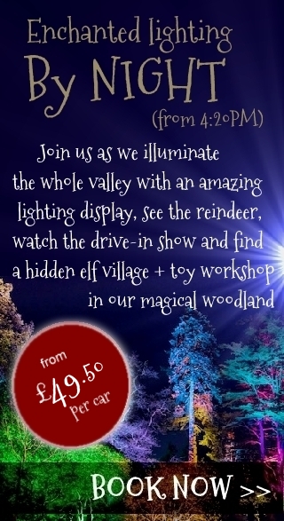 Enchanted Christmas Lighting Trail at the Reindeer Lodge