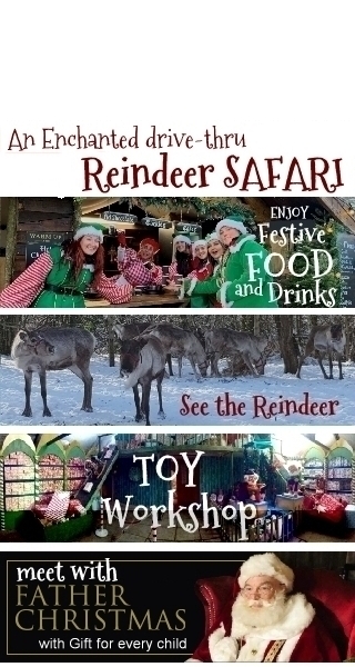 Enchanted Reindeer Safari Trail at the Reindeer Lodge